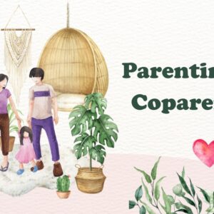 court approved parenting classes
