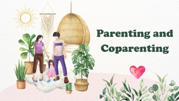court approved parenting classes
