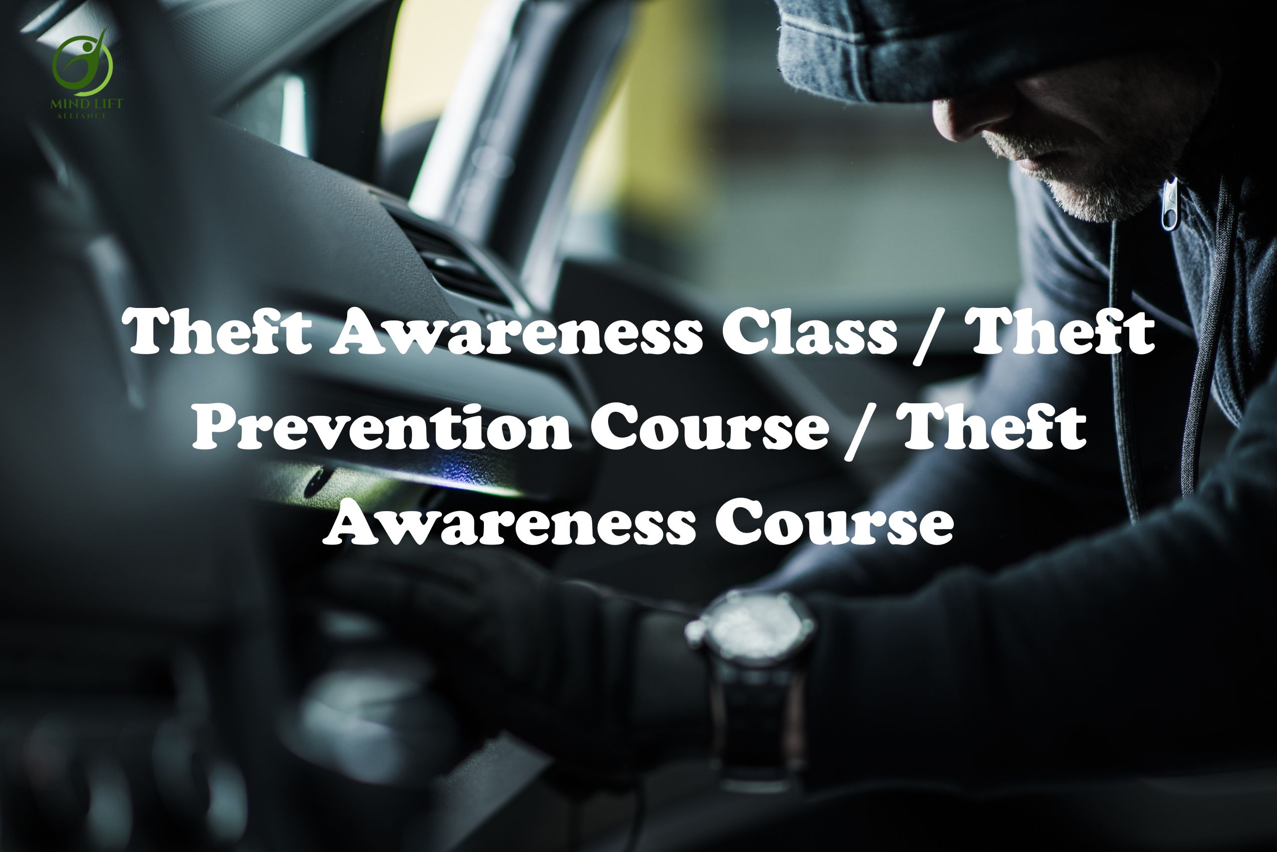 Theft Prevention Course / Theft Awareness Course 4 Hour Court-Ordered Class
